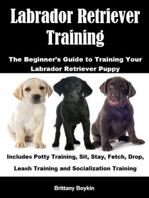 cover image of Labrador Retriever Training